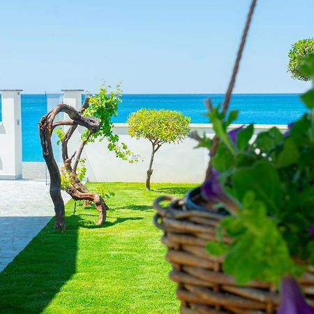 Mbaccimari B&B Cetraro Exteriör bild