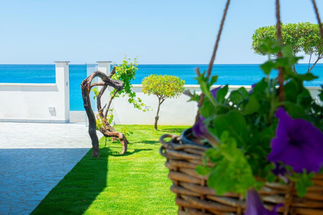 Mbaccimari B&B Cetraro Exteriör bild