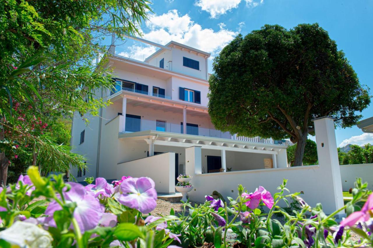 Mbaccimari B&B Cetraro Exteriör bild