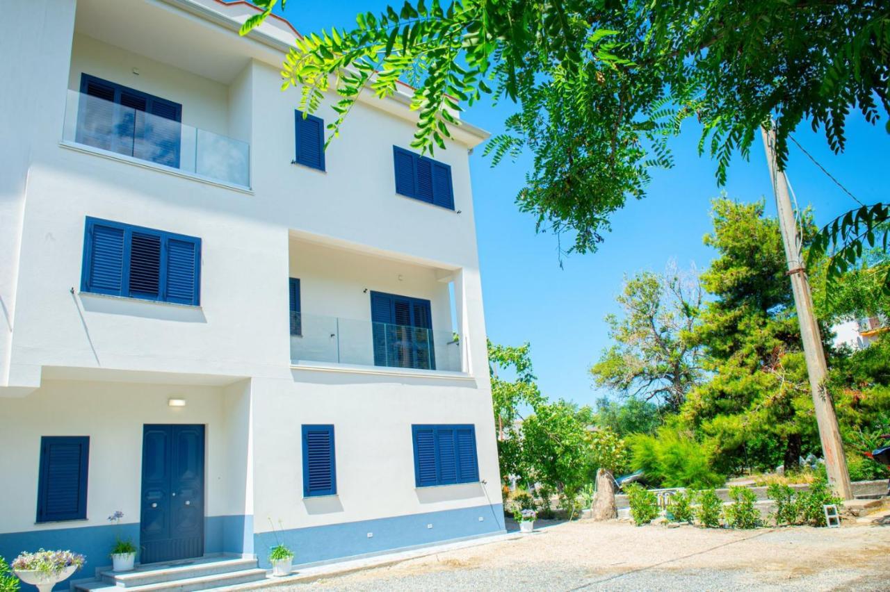 Mbaccimari B&B Cetraro Exteriör bild